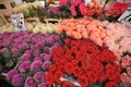 Columbia road flower market London , Uk Royalty Free Stock Photo