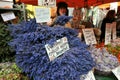 Columbia road flower market London , Uk Royalty Free Stock Photo