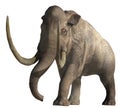 Columbian Mammoth