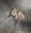 Columbian Mammoth In Fog