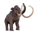 Columbian Mammoth Trumpeting