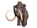 Columbian Mammoth Walking