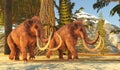 Pleistocene Period of North America Columbian Mammoths