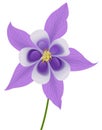 Columbine