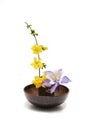 Columbine,Japanese jasmine and Daffodil arranged in a bowl isolated on a white background