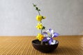 Columbine,Japanese jasmine and Daffodil arranged in a bowl in Japanese-style room