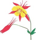 Columbine Vector Illustration