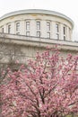 The Ohio Statehouse Cherry Blossoms Blooming Downtown Urban Core of Columbus Royalty Free Stock Photo