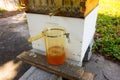 harvesting honey from an automatic bee hive at an apiary in the west indies