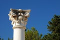 Column of the asklepion in Kos Royalty Free Stock Photo