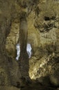 Column in the Big Room, Carlsbad Caverns National Park, New Mexico, United States of America Royalty Free Stock Photo