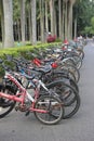 In a column of bikes outside of university library