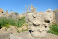 Column detail in Roman ruins, ancient Roman city of Volubilis. Morocco Royalty Free Stock Photo