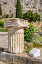 Column with Ionic capital in Delphi, Greece Royalty Free Stock Photo
