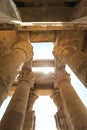 Column in Kom Ombo Temple, Aswan, Egypt