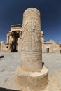 Column in Kom Ombo Temple, Aswan, Egypt