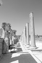 the column old stone in perge construction asia turkey and