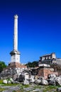 Column pf Phocas, Rome ancient ruins, Italy Royalty Free Stock Photo