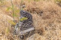 Column  remains in ruins of the Dir Aziz Synagogue, built in the Byzantine period, at the beginning of the sixth century AD. It is Royalty Free Stock Photo