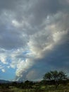 Column of smoke rising up to the clouds during the Slide Fire, Oak Creek Canyon, north of Sedona, Arizona.