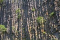 Columnar basalt, Hegyesko, Hungary Royalty Free Stock Photo