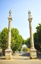 Columnas de Cesar y Hercules en la Alameda de HÃÂ©rcules en el centro de Sevilla, EspaÃÂ±a