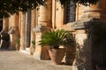 Columns alley in monastery of Agia Triada, Crete, Greece. Greek clay vases with palm trees Royalty Free Stock Photo