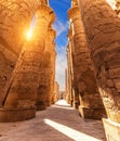 Columns with ancient carvings in the Great Hypostyle Hall of Luxor, Karnak Temple, Egypt Royalty Free Stock Photo