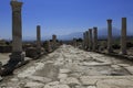 Columns of the ancient Laodicea Royalty Free Stock Photo