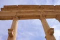 Columns in ancient Palmyra
