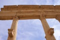 Columns in ancient Palmyra Royalty Free Stock Photo