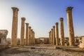 Columns of the cardo maximus, Ancient Roman city of Gerasa of Antiquity , modern Jerash
