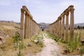 Columns of the Cardo Maximus in the ancient roman city of Gerasa