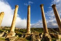 Columns at the Cardo Maximus, Jerash, Jordan