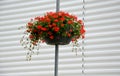 Columns with decorative hanging flowerpots made of plastic. hanging flowers in the shape of baskets, garland. adorns public street Royalty Free Stock Photo