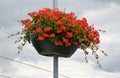 Columns with decorative hanging flowerpots made of plastic. hanging flowers in the shape of baskets, garland. adorns public street Royalty Free Stock Photo