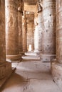 Columns in dendera temple