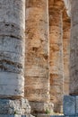 Columns of the Doric temple of Segesta in warm evening light, Sicily, Italy Royalty Free Stock Photo