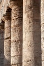 Columns of the Doric temple of Segesta in warm evening light, Sicily, Italy