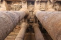 Columns in Edfu Temple, Edfu, Egypt