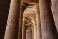 Columns in Edfu Temple, Edfu, Egypt