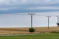 Columns with electric lines on the cornfield Royalty Free Stock Photo