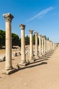 Columns in Ephesus Royalty Free Stock Photo