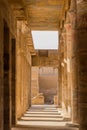 Columns of the Festival Hall of Thutmose III in the Karnak Temple Complex, Egy