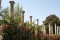 Columns of the gardens of the AlbÃÂ©niz Palace in Barcelona