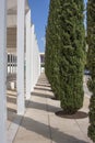 Columns and green trees on a narrow street Royalty Free Stock Photo