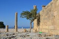 Columns on the hellenistic stoa of the Acropolis of Lindos, Rhodes, Greece, Blue sky, olive tree and beatiful sea view in the back Royalty Free Stock Photo