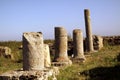 Columns of Histria Royalty Free Stock Photo
