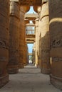 Columns in the Karnak Temple Royalty Free Stock Photo