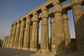Columns at Luxor Temple, Egypt Royalty Free Stock Photo